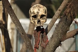 Mil Colmillos (A Thousand Fangs) - First Season